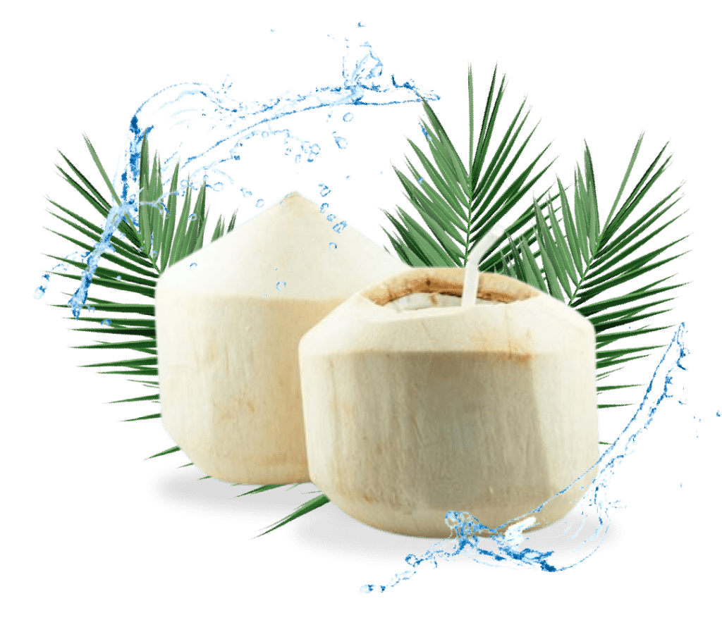 Thai Fragrant Coconut