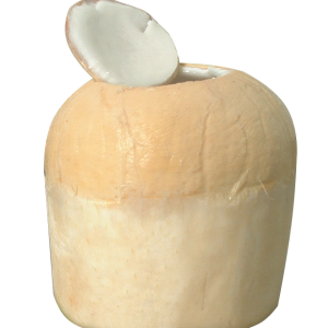 Top Cut Coconut Open